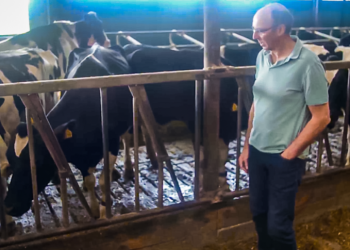 Έρχεται και στην Ελλάδα. Στην Ολλανδία ζητούν θανάτωση του 95% των αγελάδων για την… κλιματική αλλαγή!