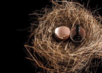 3552b59f29cd90a14bfb2fc28bd9b0e0_xl