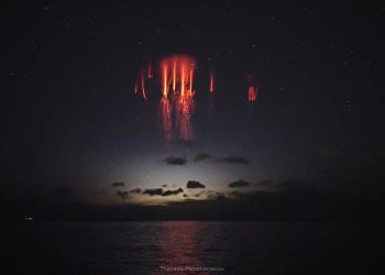 b9498185-8d89-4a4a-8506-bfd2ad7951c0