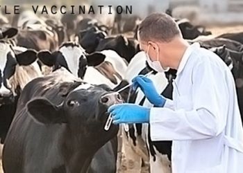 d52b1f3c-e9bb-4511-acc4-e3b27d332796