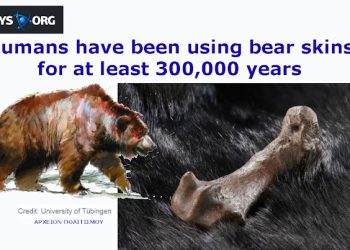 schoningen-320000-%cf%87%cf%81%cf%8c%ce%bd%cf%89%ce%bd-%ce%b5%ce%ba%ce%b4%ce%bf%cf%81%ce%ac-%ce%b1%cf%81%ce%ba%ce%bf%cf%8d%ce%b4%ce%b1%cf%82