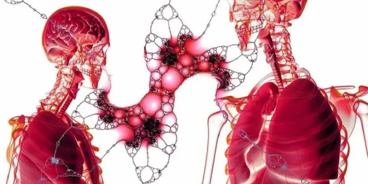 cell-3089947_960_720-bloed-vaccn