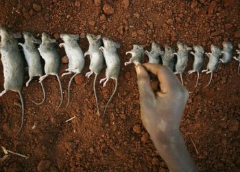 323449626_878405373384228_5739348097928804124_n