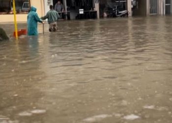 f0b2c9edeb395723b5c604127b9a870e_xl