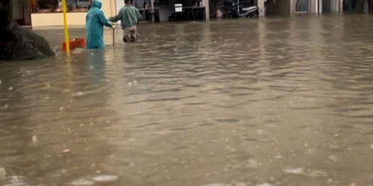 f0b2c9edeb395723b5c604127b9a870e_xl