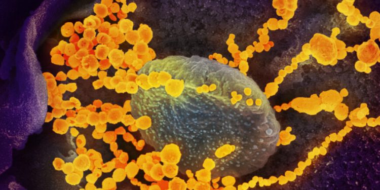sars-cov-2-870x522-1