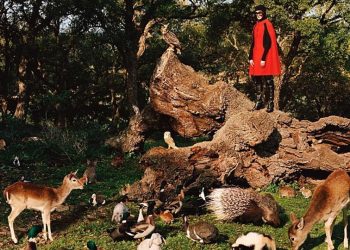 w03-100342gucci_19_374540_type13265-1