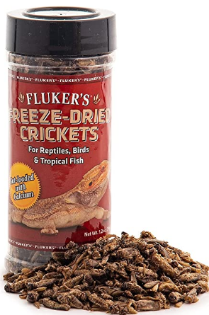 flukers-freeze-dried-crickets-3173688