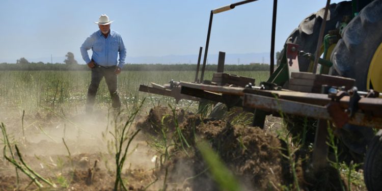 farm-land-confiscate-american-farmers