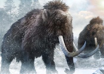 mammoth_01