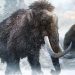 mammoth_01