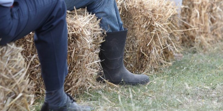 %ce%ba%cf%84%ce%b7%ce%bd