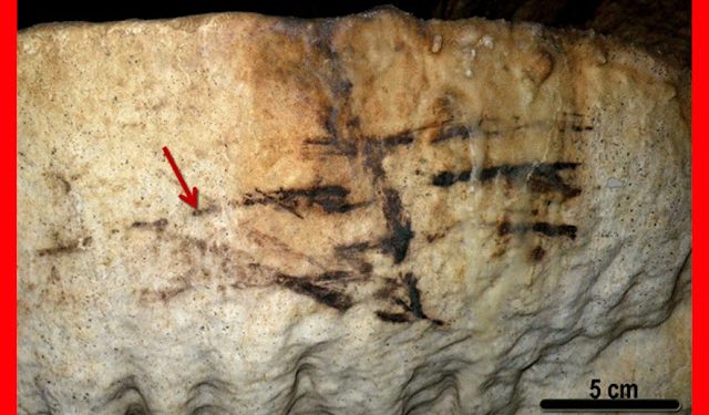 %ce%bc%ce%b1%ce%bb%ce%b1%ce%b3%ce%b1-nerja-%cf%83%cf%80%ce%b7%ce%bb%ce%b1%ce%b9%ce%bf-%ce%b2%cf%81%ce%b1%cf%87%ce%bf%ce%b3%cf%81%ce%b1%cf%86%ce%b9%ce%b1-%ce%bf%cf%80%ce%bb%ce%bf